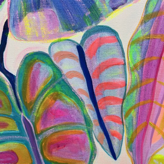 'Alocasia Revelation’