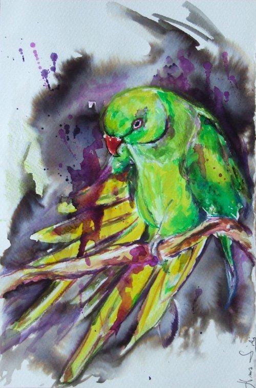 Yellow Green Parrot by Anna Sidi-Yacoub