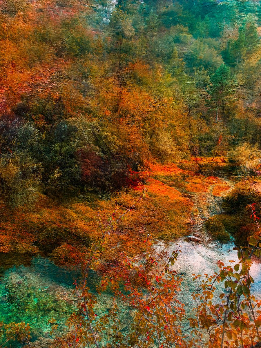 Impressionistic Botanical Photograph By Viet Ha Tran, 19 X 25", River In The Mountains, Original Artwork
