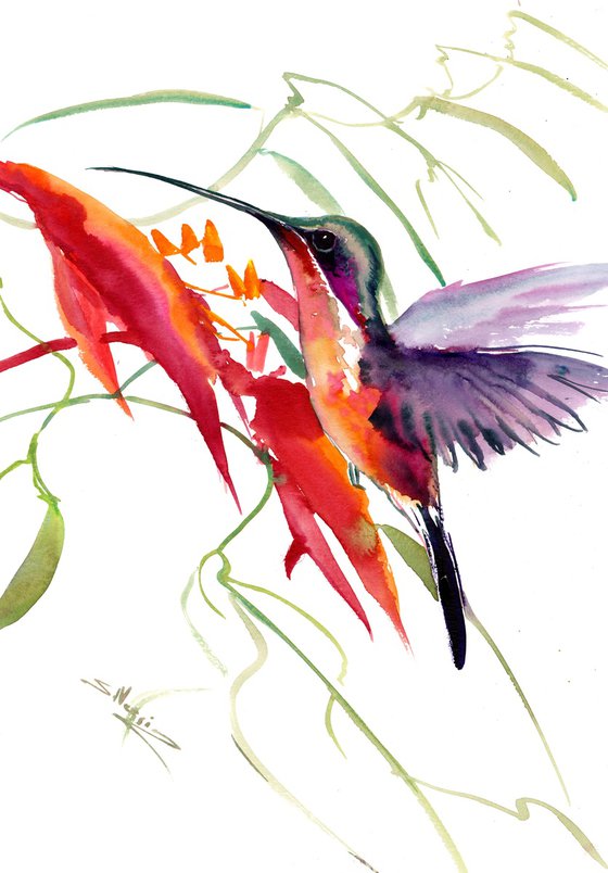 Flying Hummingbird and Flowers