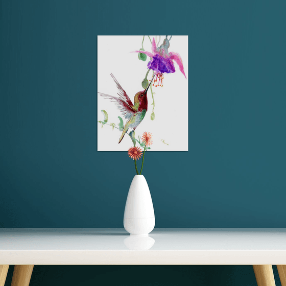 Hummingbird and Fuchsia