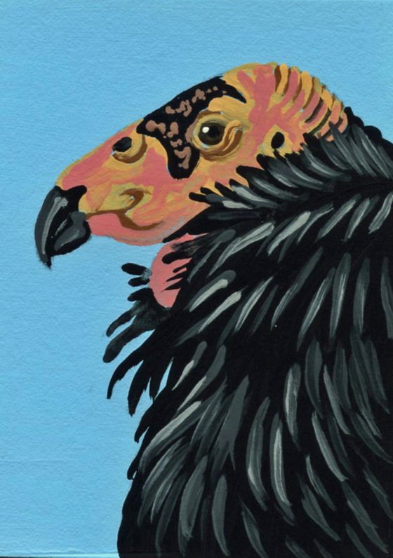 ACEO ATC Original Miniature Painting California Condor Vulture Bird Wildlife Art-Carla Smale