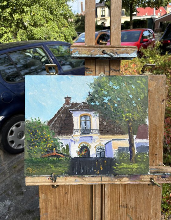 Afternoon light in Beilen