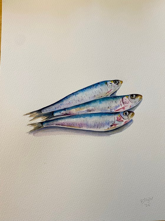 Sardines painting