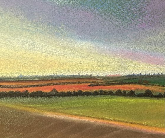 Evening Light Over Fields and Trees. Sunset - Landscape