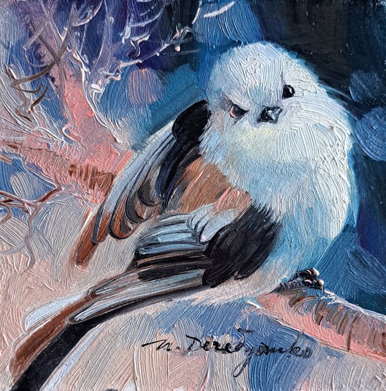 Small Blue White Bird Living On Stock Photo 1291842205