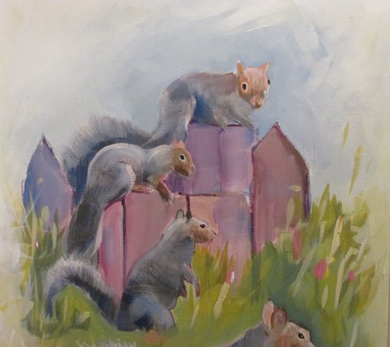 Squirrels