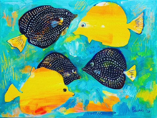 Zebrasoma fish by Olga Pascari