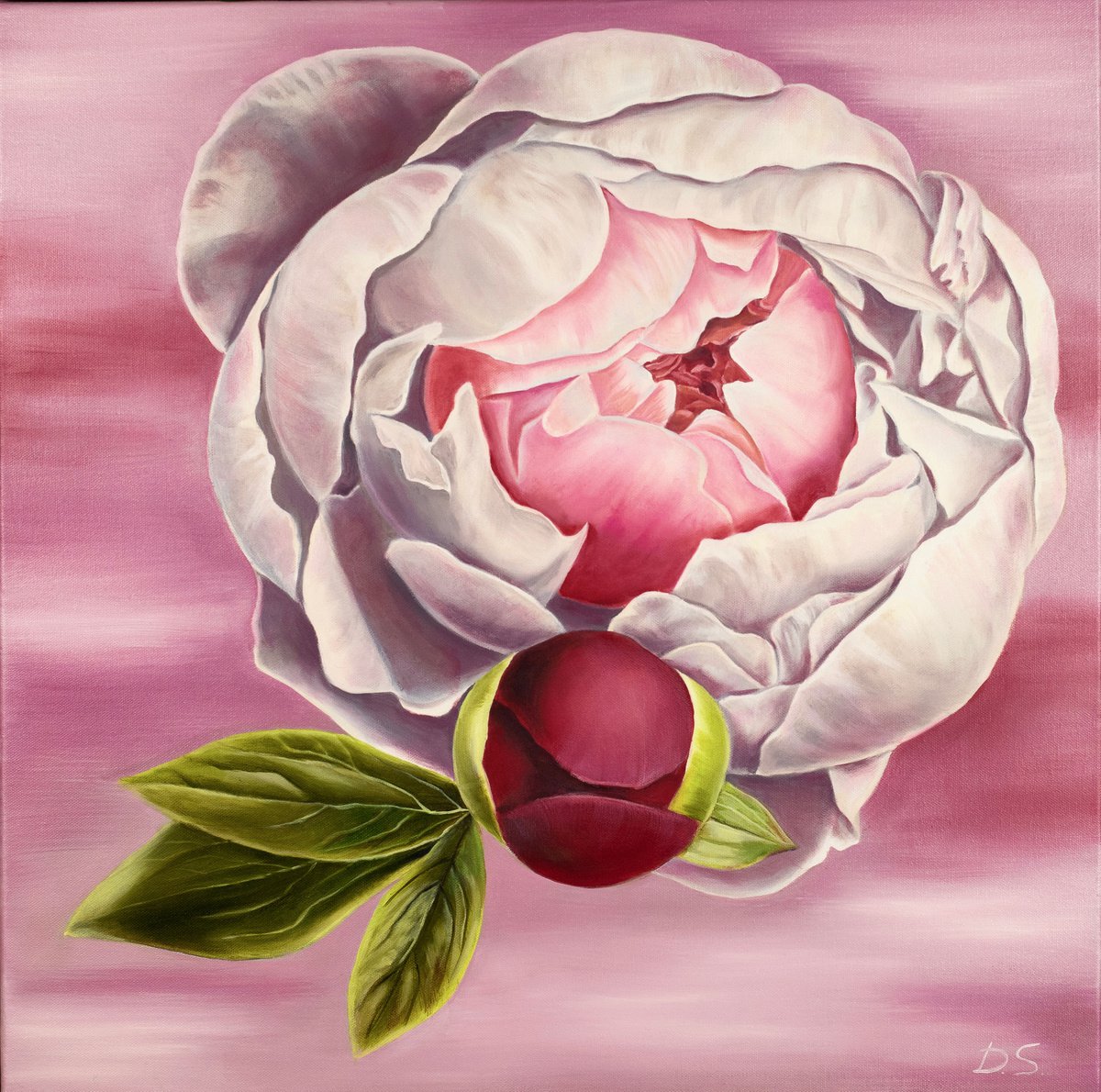 The universe of Peonies by Daria Shalik