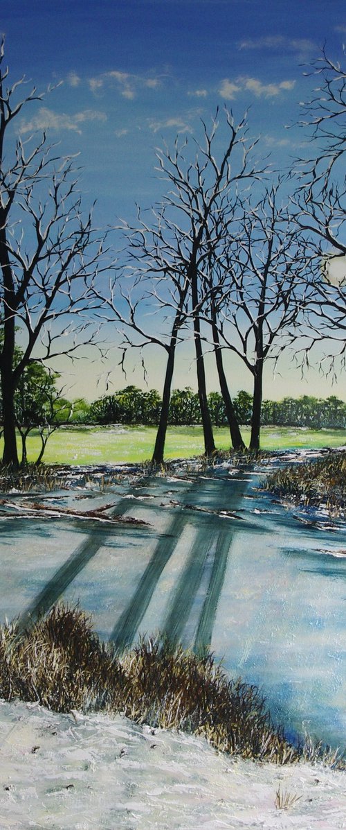 Frozen Pond by Hazel Thomson