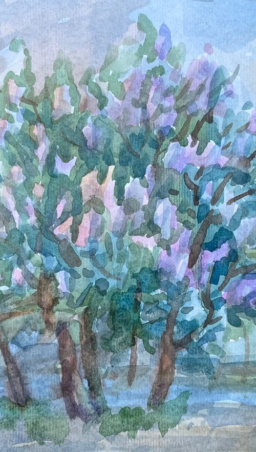 Lilac bush by Roman Sergienko