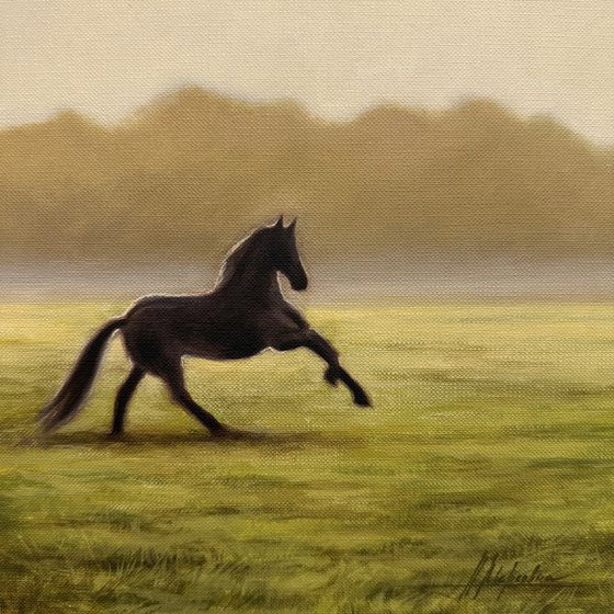 Black horse #2