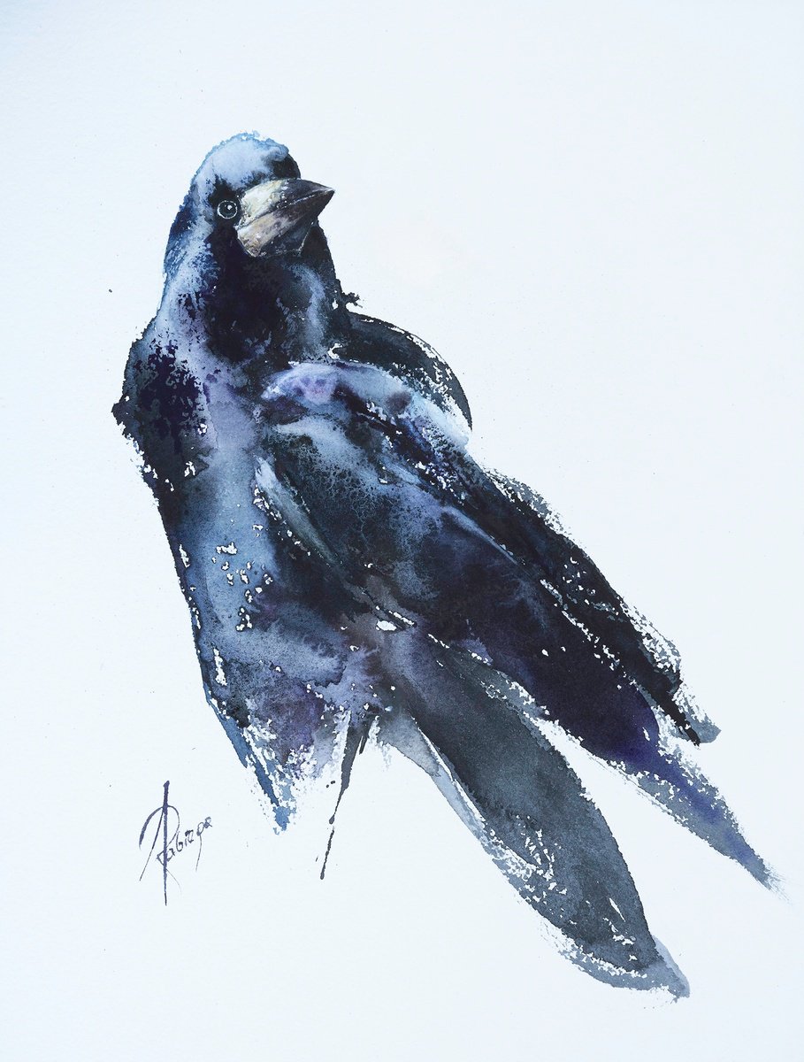 Animal Watercolour By Andrzej Rabiega, 12 X 16, Rook, Original Artwork