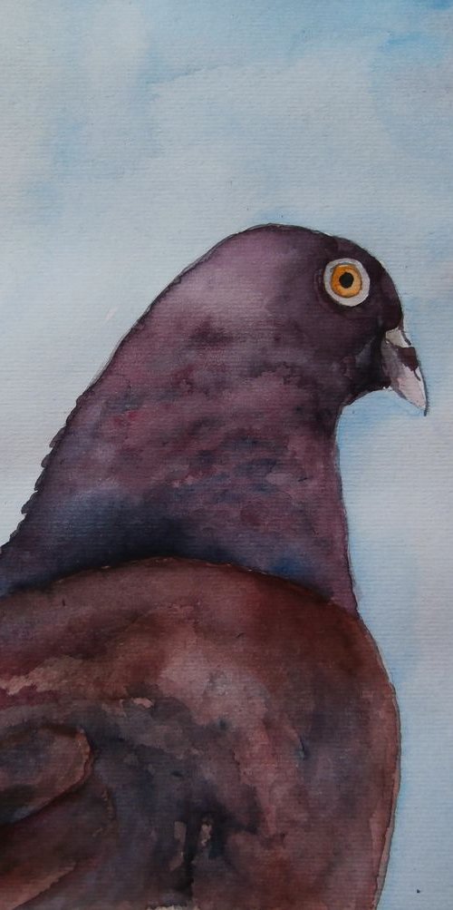 PIGEON by Zoran Mihajlović Muza