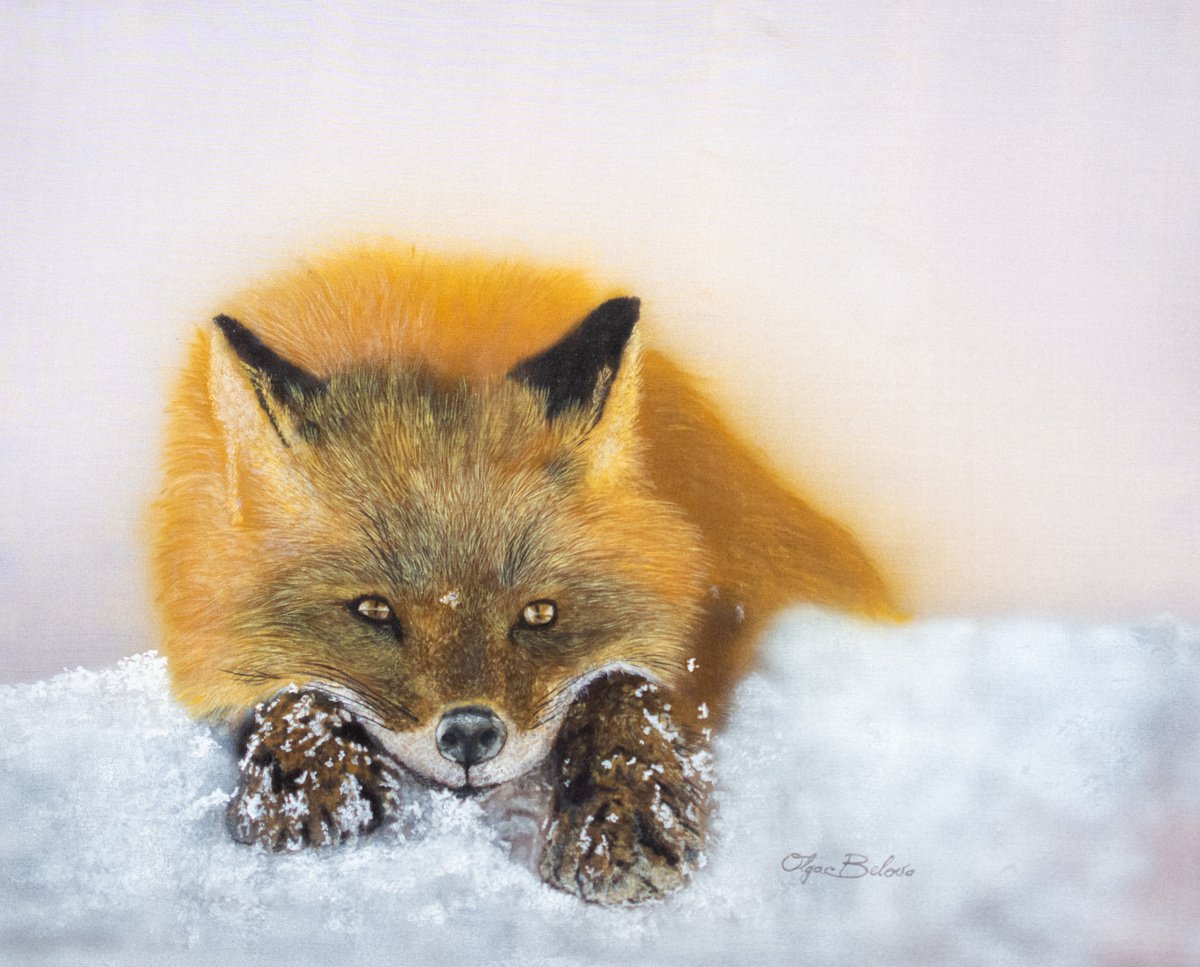Photorealistic Animal Acrylic Painting By Olga Belova, 20 X 16", Fox, Original Artwork