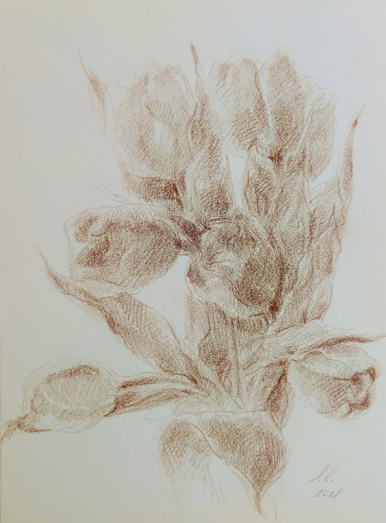 Tulips #7. Original drawing in brown pencil on paper