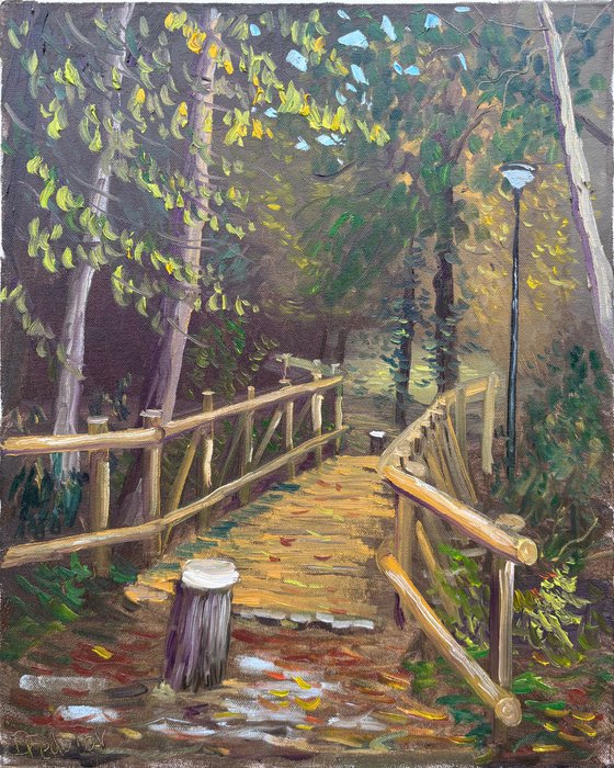 Autumn in Dutch forest