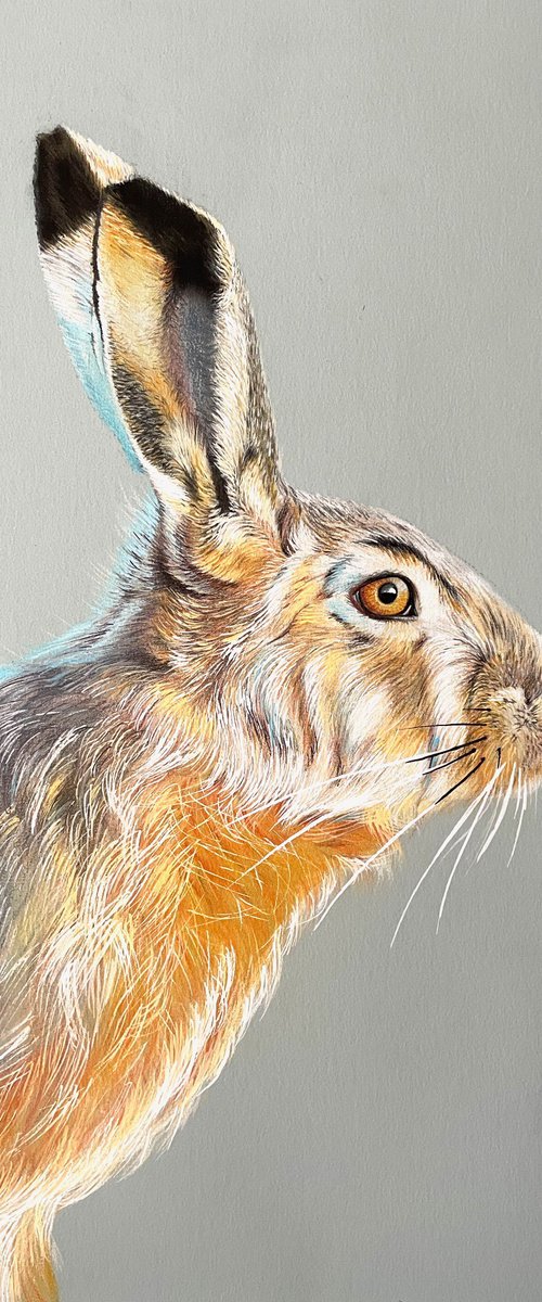 The Hare by Jo P