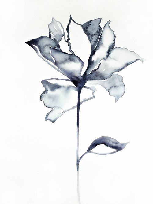 Rose No. 5 by Elizabeth Becker