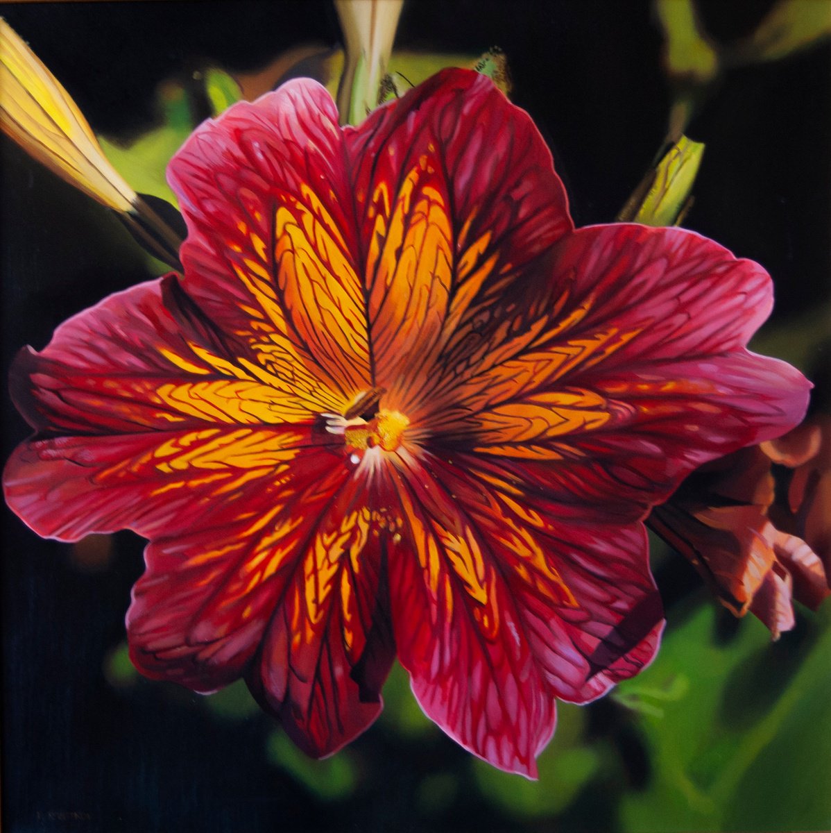 Salpiglossis by Valeri Tsvetkov