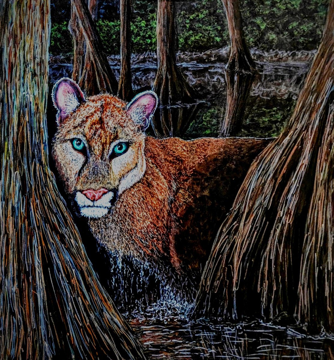 Impressionistic Animal Acrylic Painting By Robbie Potter, 36 X 36", Florida Panther In The Swamp, Original Artwork