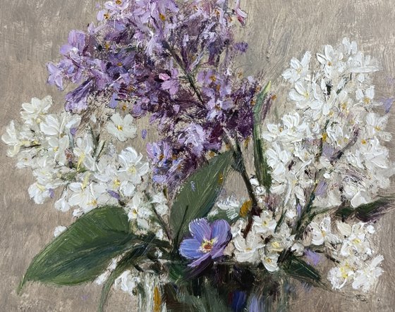 Small lilacs