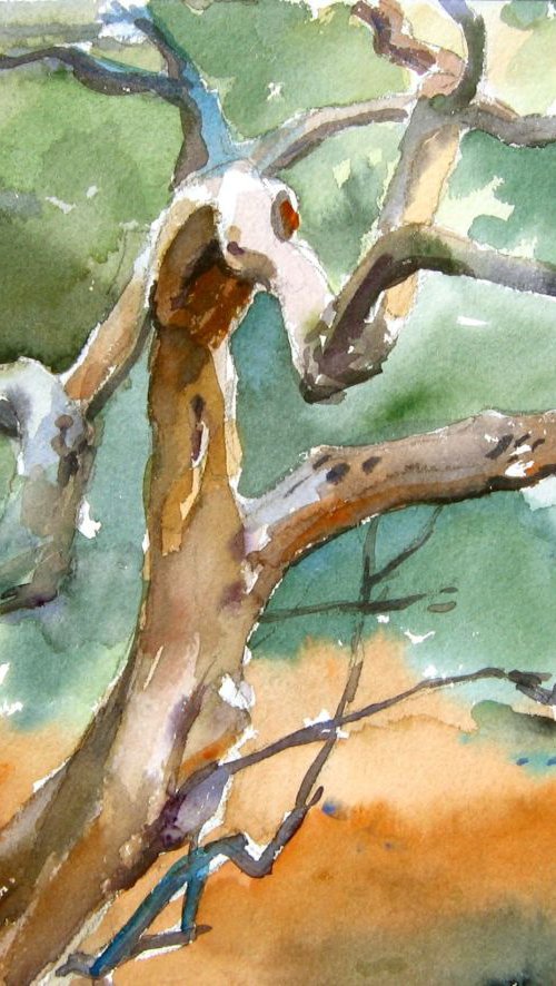 In the Olive  grove by Goran Žigolić Watercolors