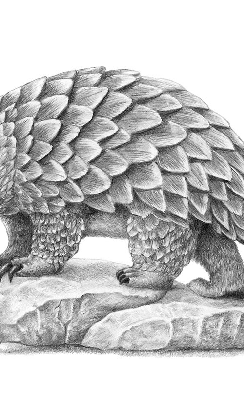 Fictional Pangolin by Mikhail Vedernikov