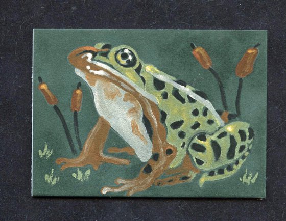 ACEO ATC Original Suede Painting Leopard Frog Wildlife Art-Carla Smale