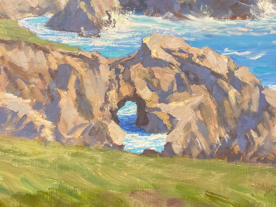 California Coast Landscape