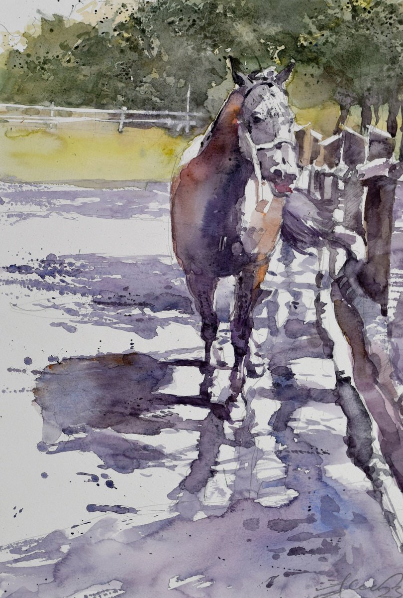 Expressive Animal Watercolour By Goran Zigolic Watercolors, 20 X 14, Horse In The Yard 1, Original Artwork