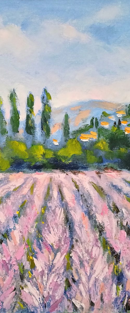 Lavender fields of Provence by Oleh Rak