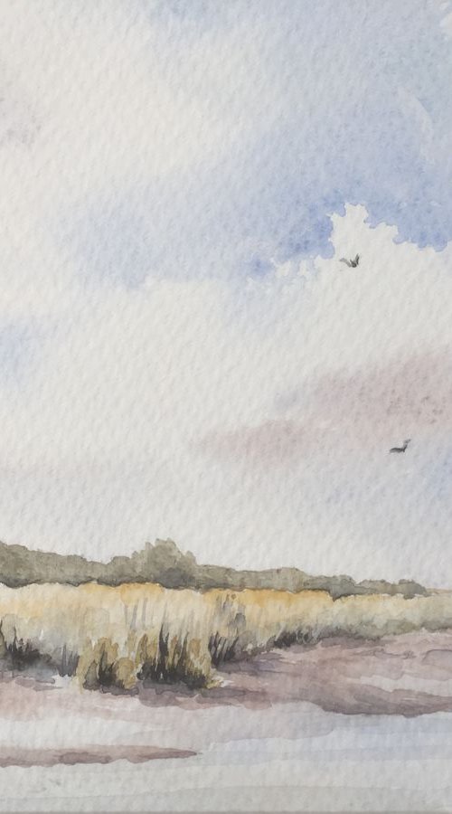 Suffolk reed beds from Snape Maltings by Noel Sawyer