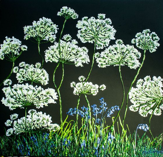 Cow Parsley and Bluebells