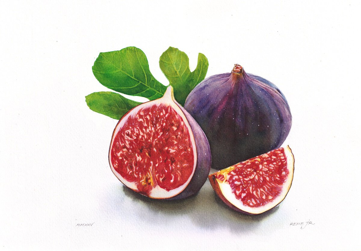 Photorealistic Still Life Watercolour By Reme Jr., 14 X 10", Fig, Original Artwork