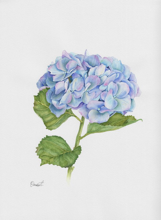 True Blue