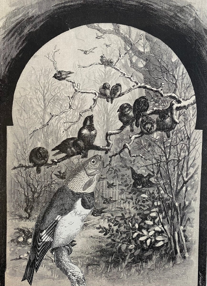 Surrealistic Collage , A New Bird By Tudor Evans, 7 X 9, Artwork For Sale On Artfinder