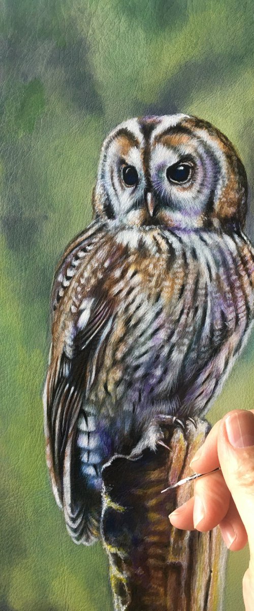 Athena - tawny Owl by Karl Hamilton-Cox