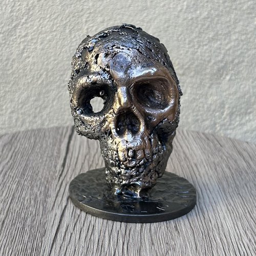 Skull 74-23 by Philippe Buil