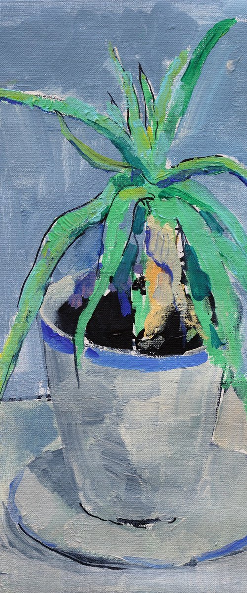 Aloe. Grey tones by Artem Andreichuk