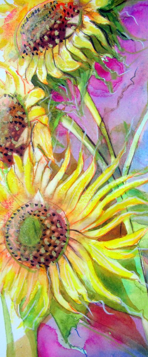 Sunflowers in Bloom by Violeta Damjanovic-Behrendt