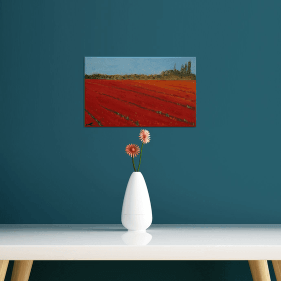 Tulip fields 2019