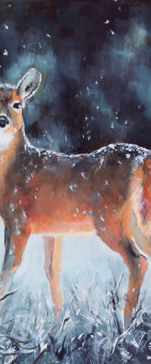 'Winter in the wild' by Lucia Verdejo