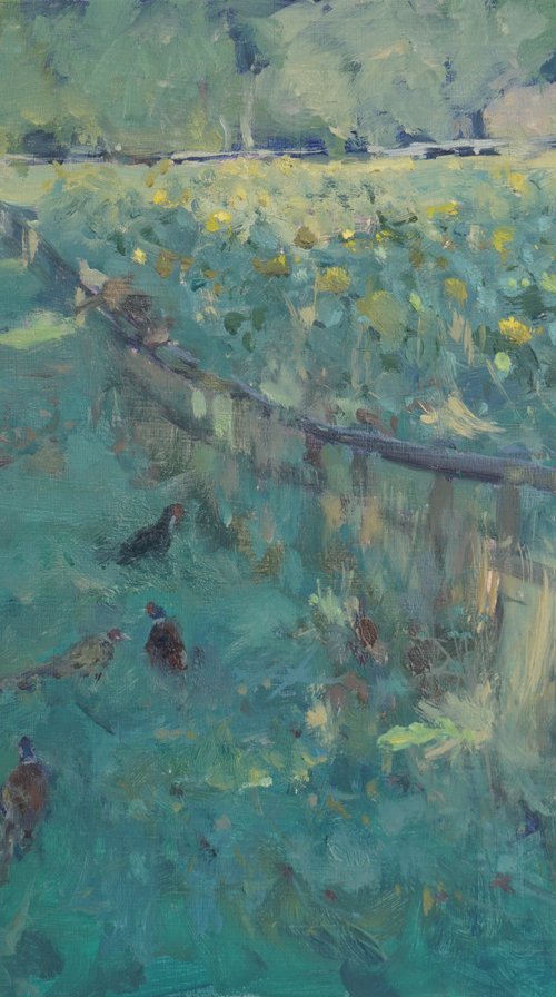 Pheasants and Sunflowers by Alex James Long