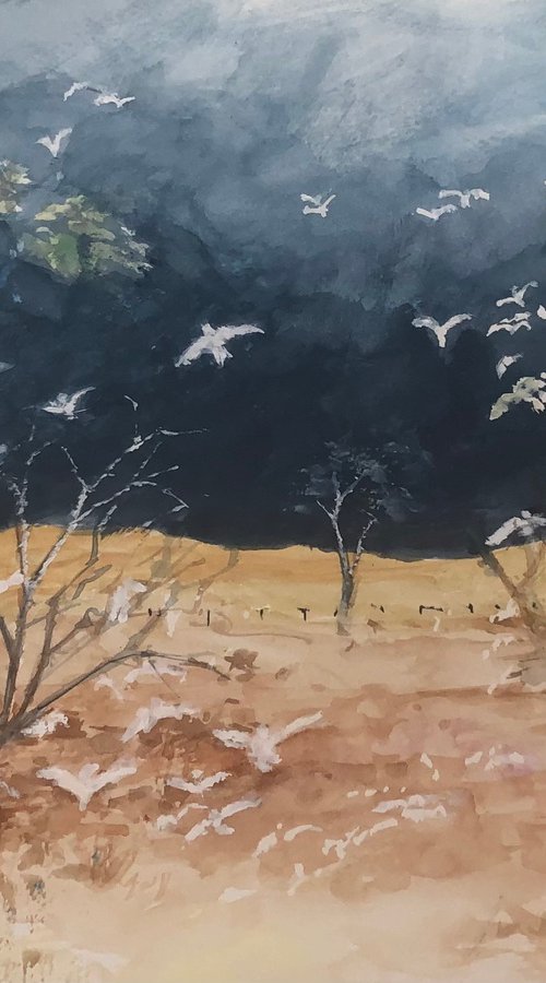 Imagine Cockatoos II by Bernd Rieve