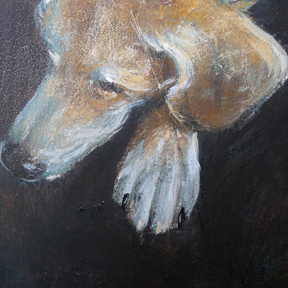 Ears, paws and tail. (Ears)