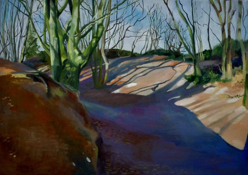 Violet Shadows on Mousehold Heath by Alison  Chaplin