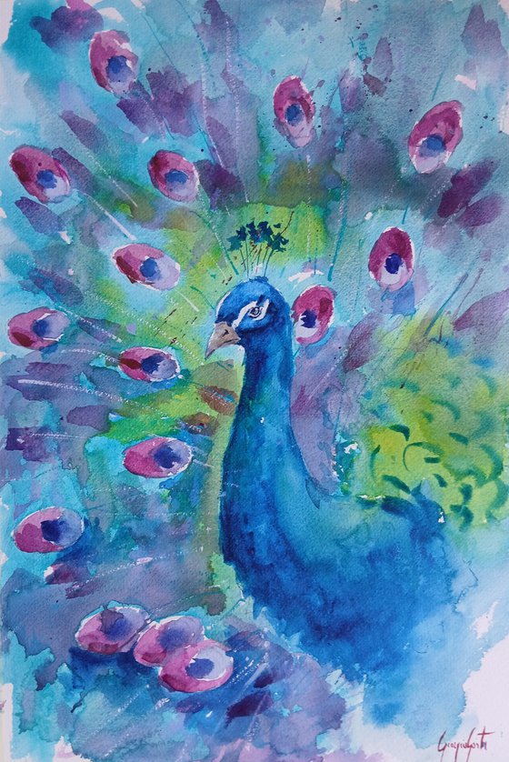 peacock