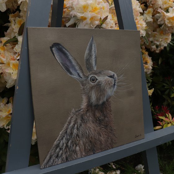 Portrait of a Hare III