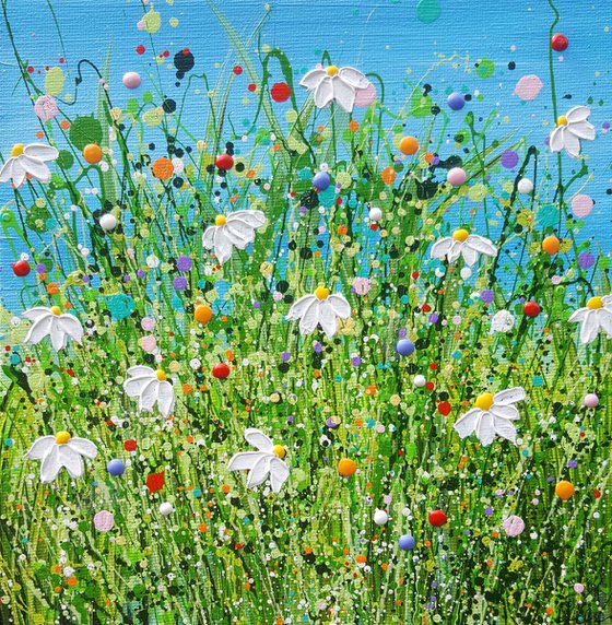 Morning Daisy Meadow